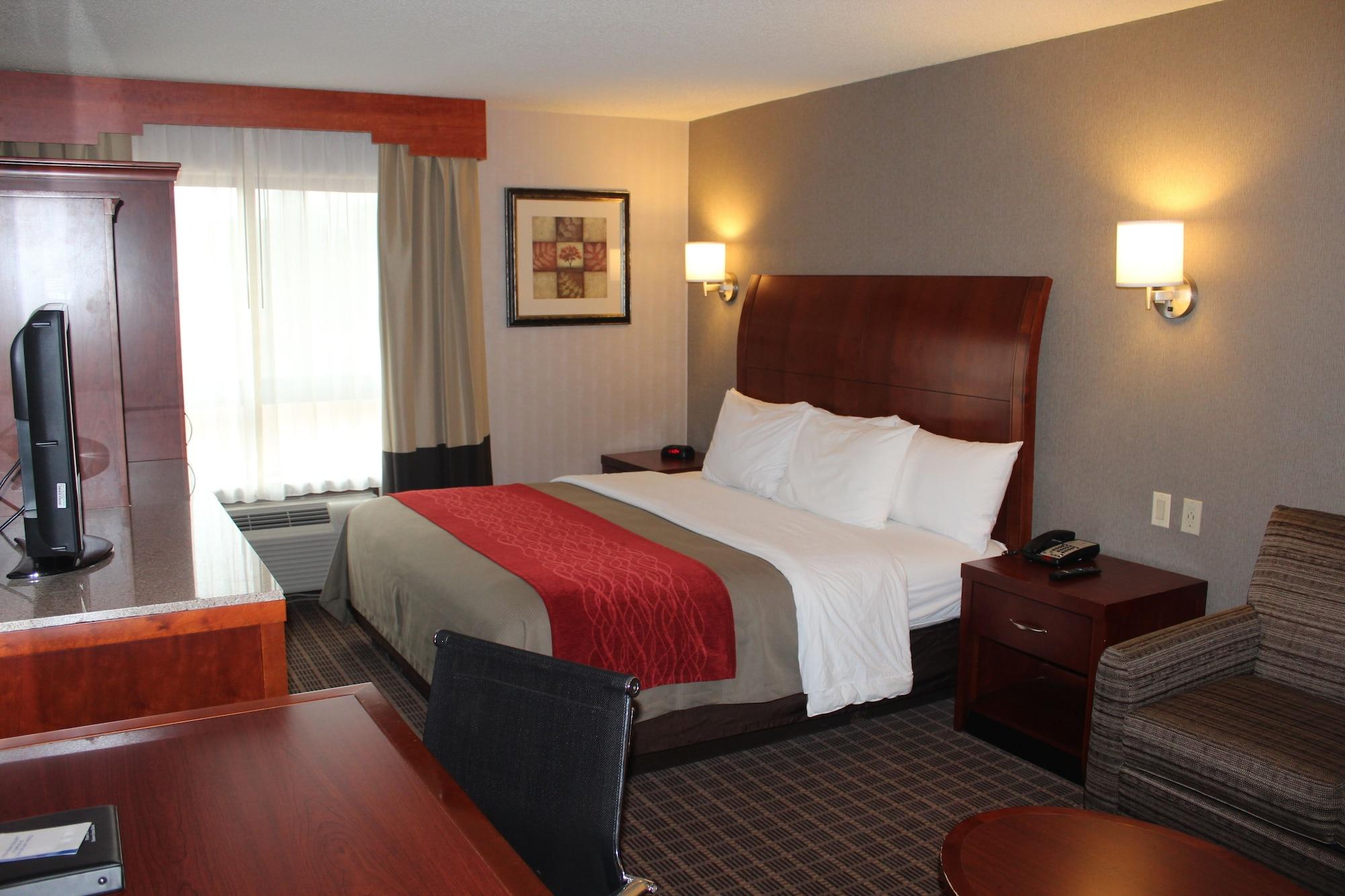Comfort Inn & Suites West Springfield Exterior foto